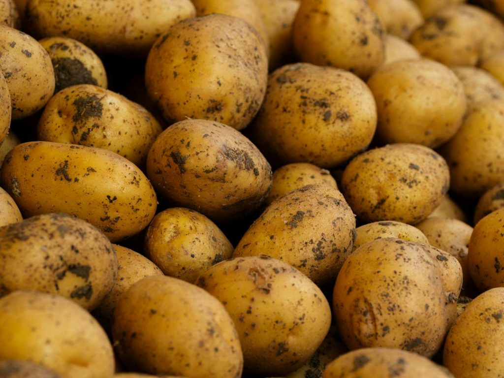 is aardappel groente